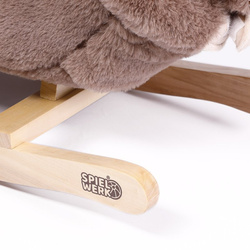 LENIWIEC NA BIEGUNACH BUJAK KOŁYSKA