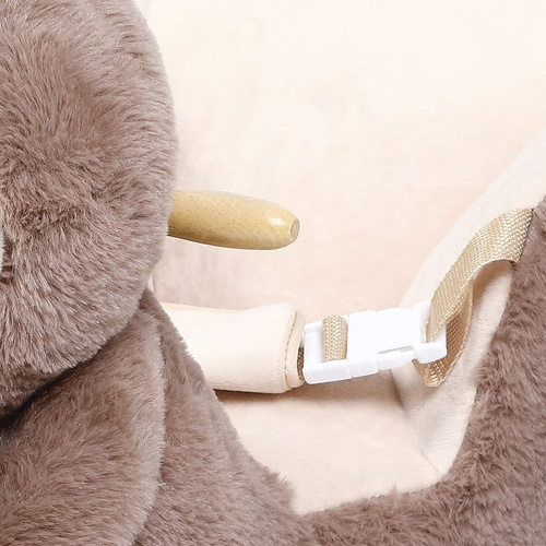 LENIWIEC NA BIEGUNACH BUJAK KOŁYSKA