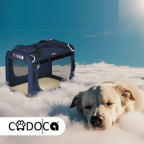 TORBA TRANSPORTOWA TRANSPORTER DLA PSA KOTA  L 70x52x50 Niebieski