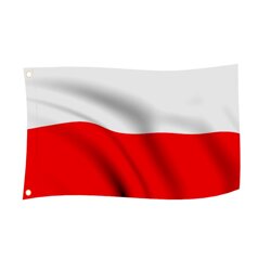 MASZT NA FLAGE TELESKOPOWY 6,3m + POLSKA FLAGA